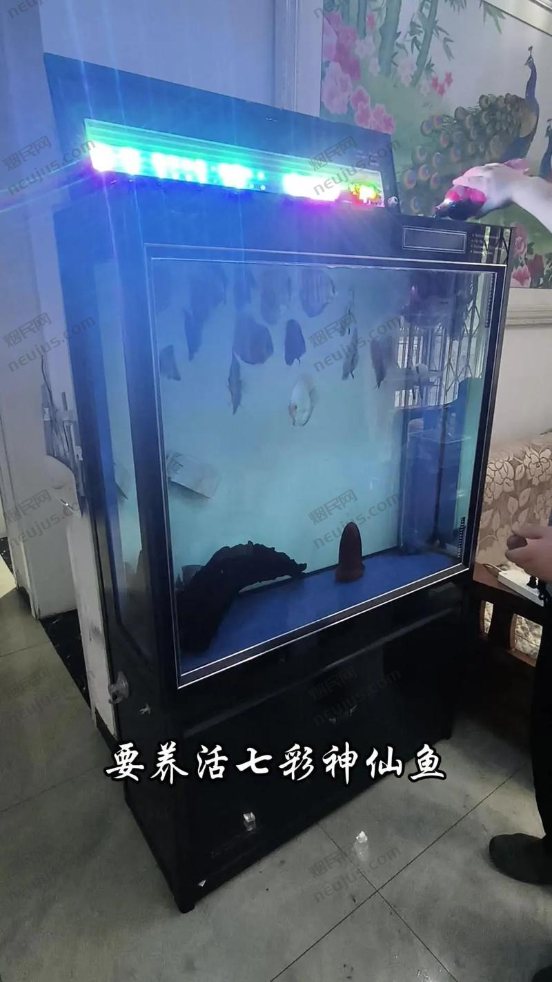 七彩神仙烟,神秘与美丽的交织 第2张 七彩神仙烟,神秘与美丽的交织 第2张