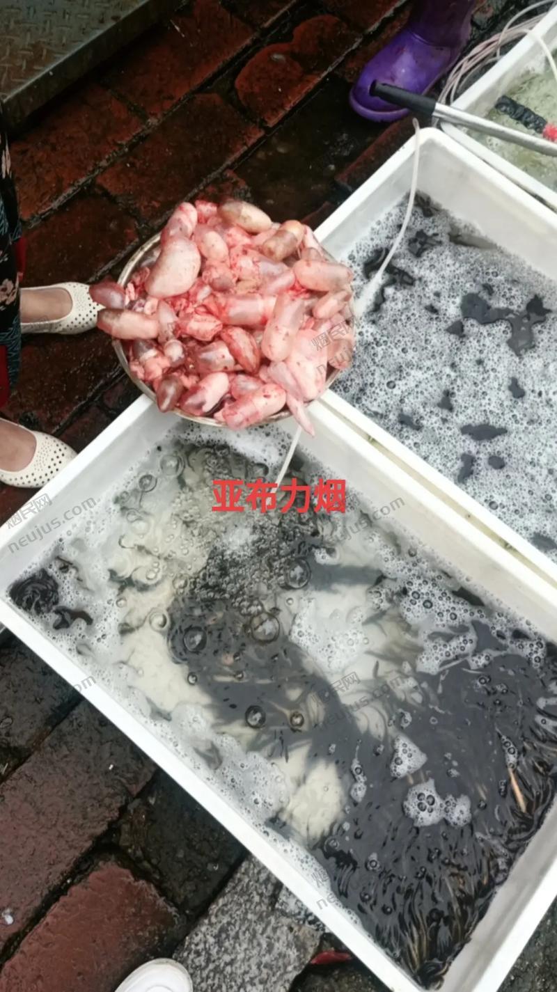 亚布力烟,关东圣地上的烟草传奇 第2张 亚布力烟,关东圣地上的烟草传奇 第2张