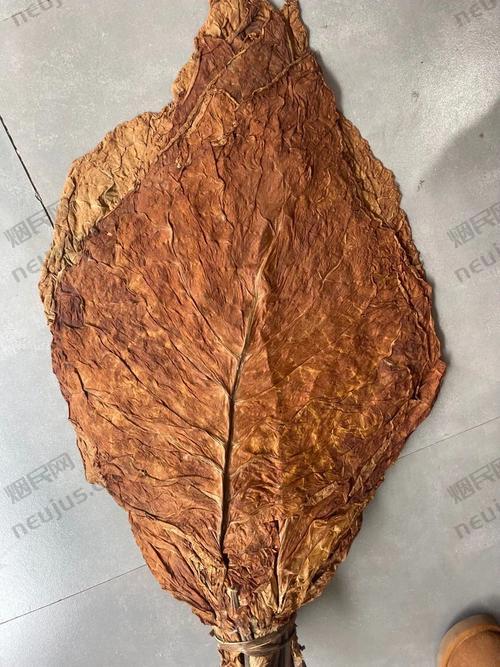 亚布力烟,关东圣地上的烟草传奇 第3张 亚布力烟,关东圣地上的烟草传奇 第3张