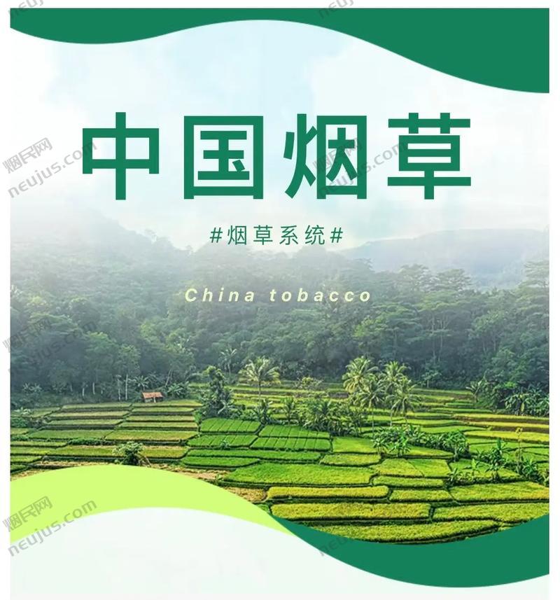 烟草客,中国烟草行业的“百科全书” 第7张 烟草客,中国烟草行业的“百科全书” 第7张