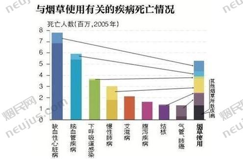 我国目前吸烟人群约有多少亿,我国吸烟人群概览 第3张