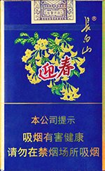 长白山（金迎春） 第1张