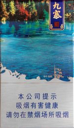 长城（九寨之恋） 第1张