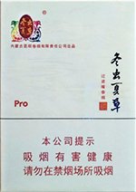 冬虫夏草（中支和润） 第1张