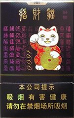好猫（招财猫1600） 第1张