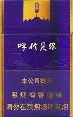 呼伦贝尔（金帐汗） 第1张