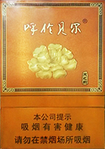 呼伦贝尔（天之韵） 第1张