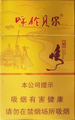 呼伦贝尔（草原情） 第1张