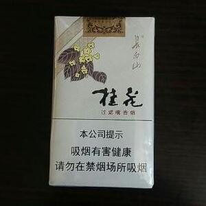 2025年长白山香烟价格表图,长白山香烟价格及图片 第56张