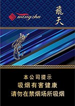兰州（飞天） 第1张