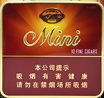 长城（迷你香草）新版 第1张