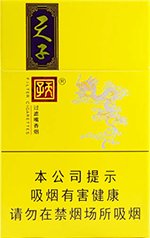 天子（小天子） 第1张